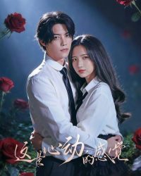 Cảm Giác Khi Rung Động Là Đây