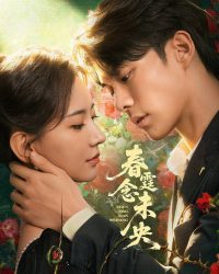 Cô Dâu Giả Báo Thù